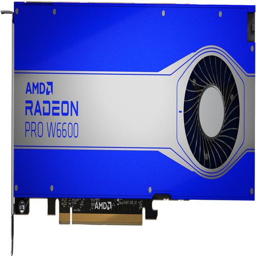 AMD RdnP W6600 8GB GDDR6 4DP GFX