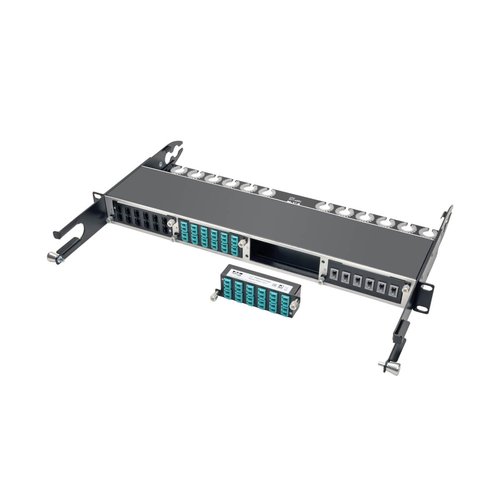 10GbE Pass-Through Cassette x12 LC Duplex