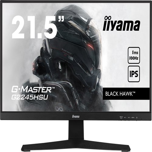 22iW LCD Full HD Gaming IPS 100Hz